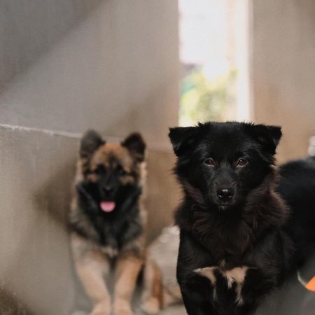 Susu Homestay Hue Thon Kim Long Esterno foto